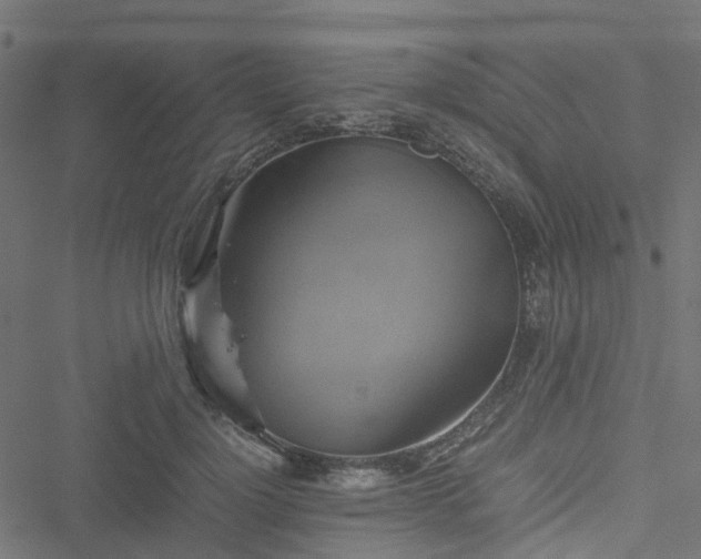 X0000051240748200506241521