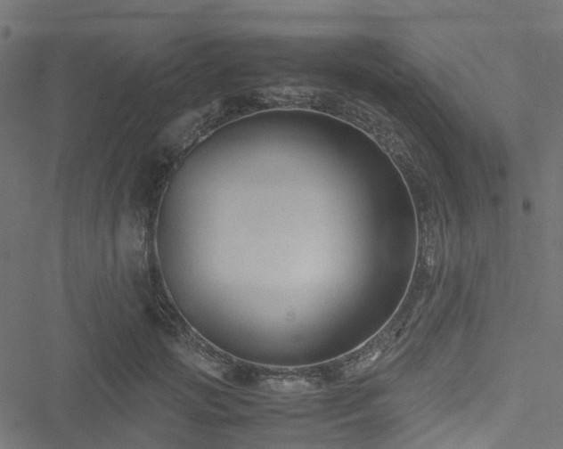 X0000051240749200506241521