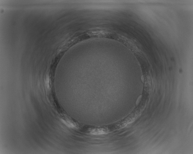 X0000051240751200506241521