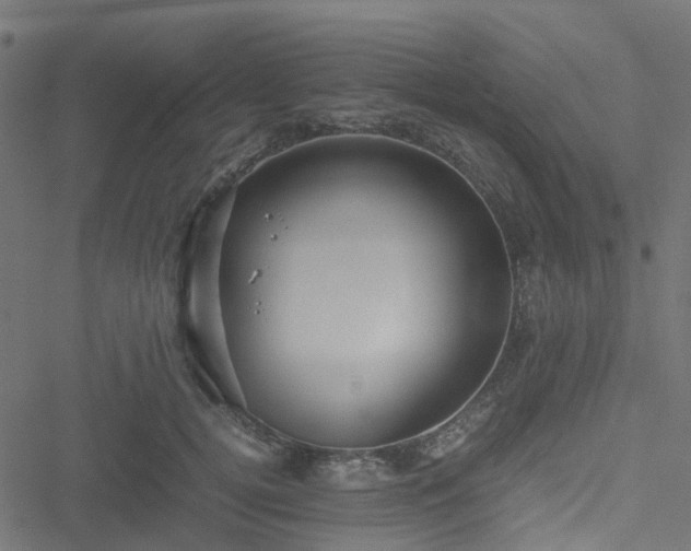 X0000051240752200506241521