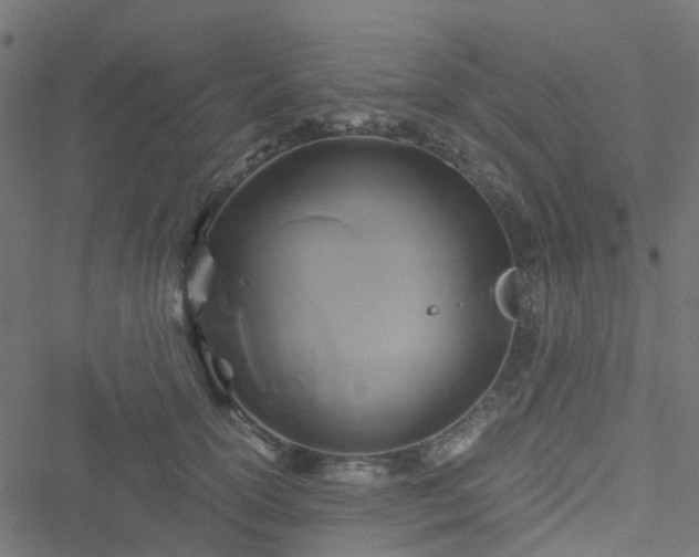 X0000051240754200506241521