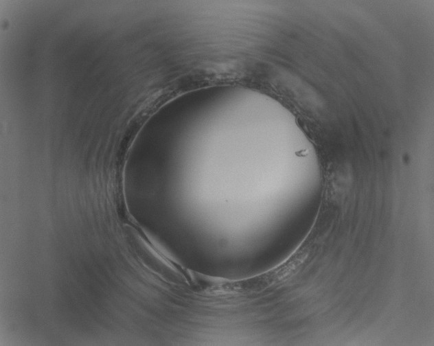 X0000051240756200506241521