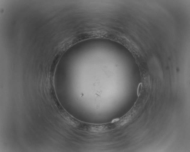 X0000051240757200506241521