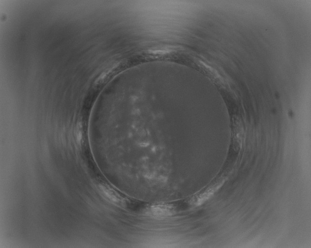 X0000051240758200506241521