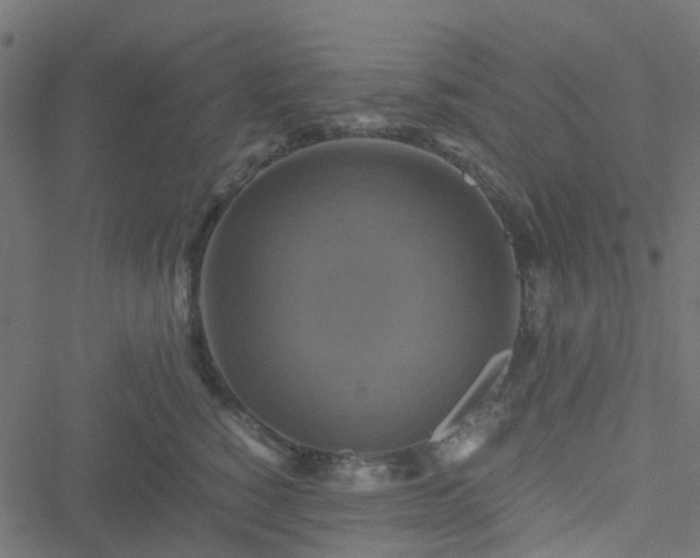 X0000051240760200506241521