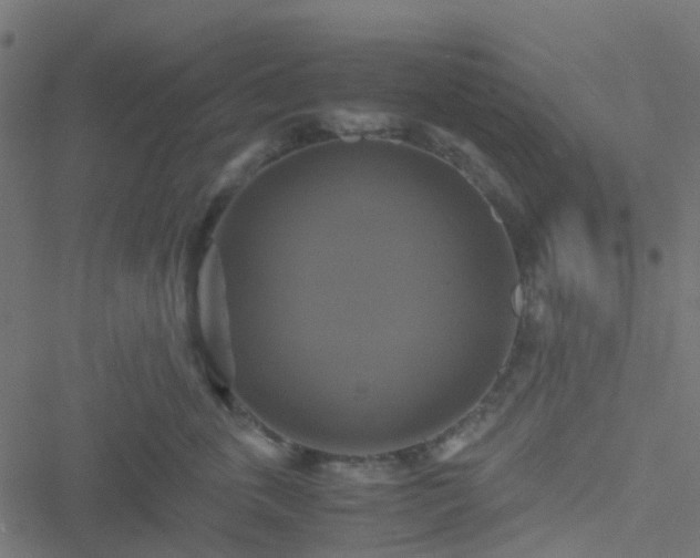 X0000051240763200506241521