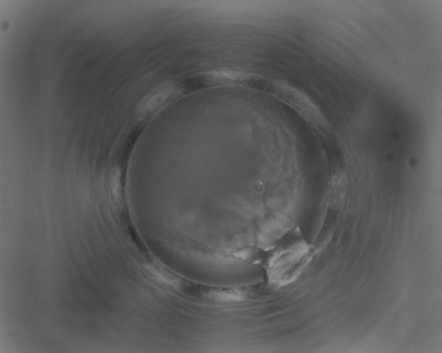 X0000051240765200506241521