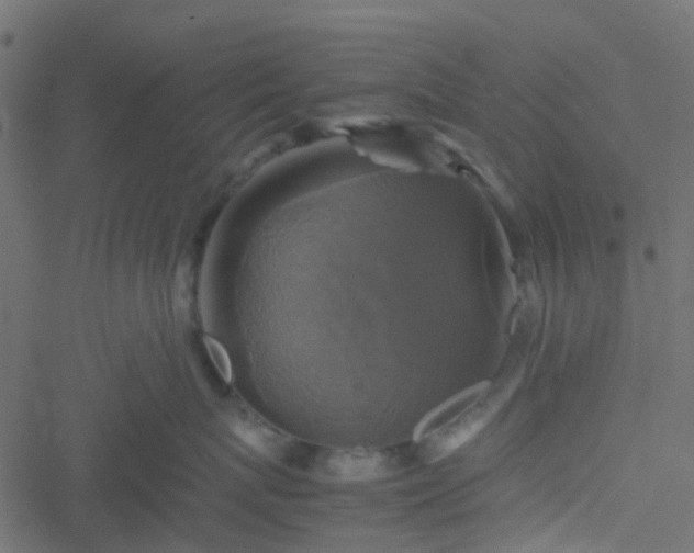 X0000051240767200506241521