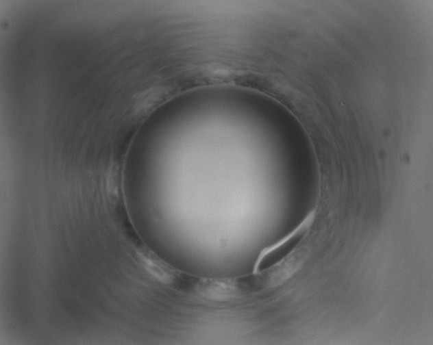 X0000051240768200506241521