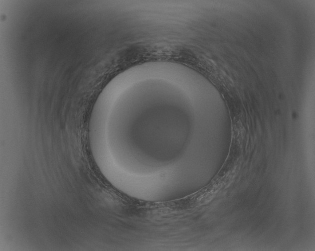 X0000051240769200506241520