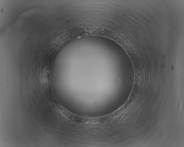 X0000051240770200506241520