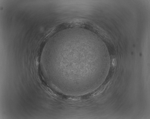 X0000051240771200506241520