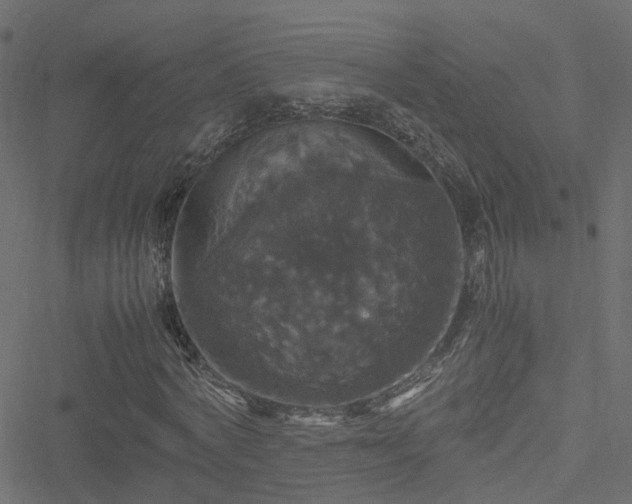 X0000051240772200506241520