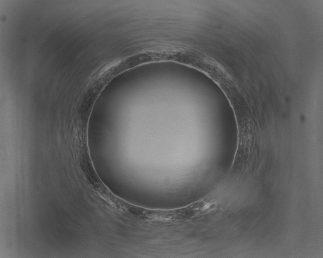 X0000051240773200506241520