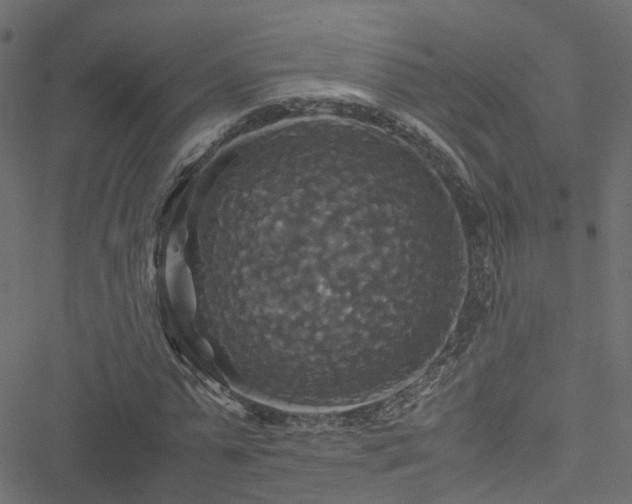 X0000051240775200506241520