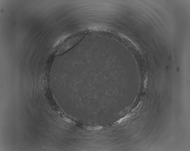 X0000051240776200506241520