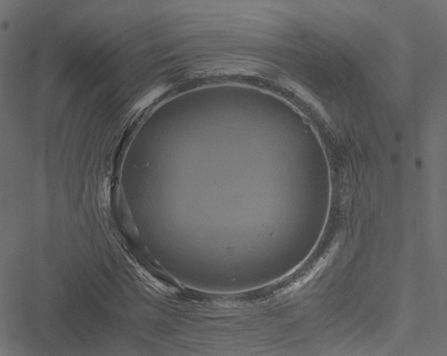 X0000051240777200506241520