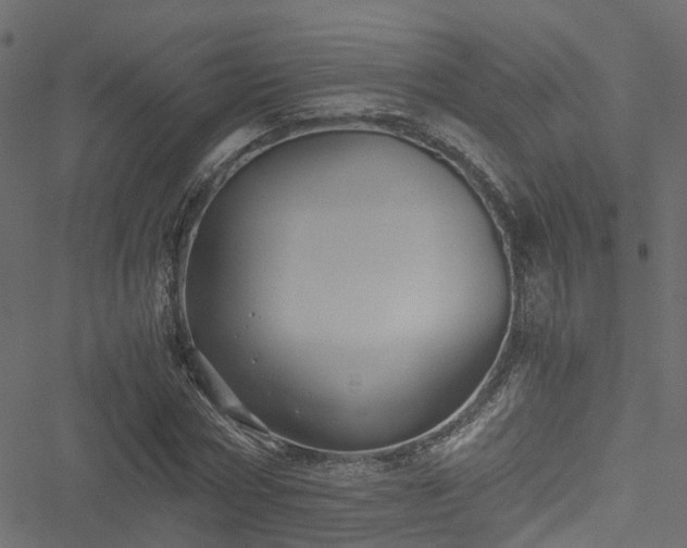 X0000051240778200506241520