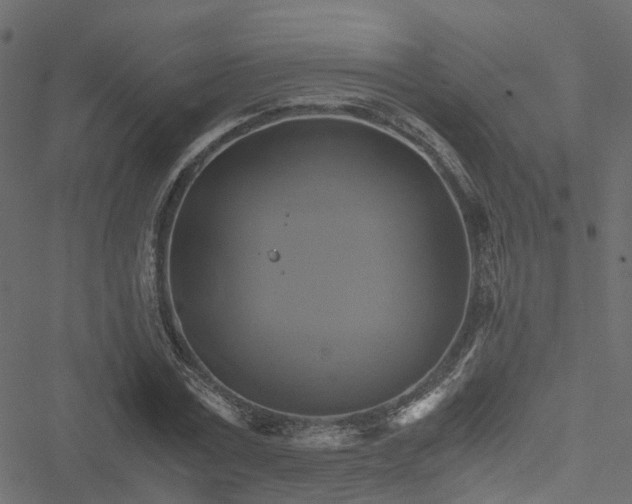 X0000051240779200506241520