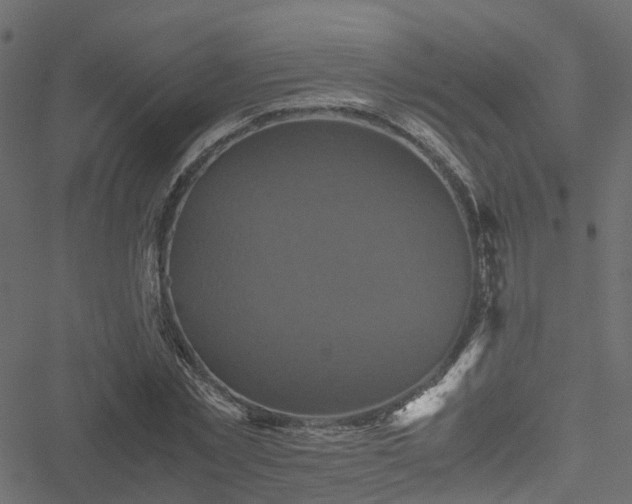 X0000051240781200506241520