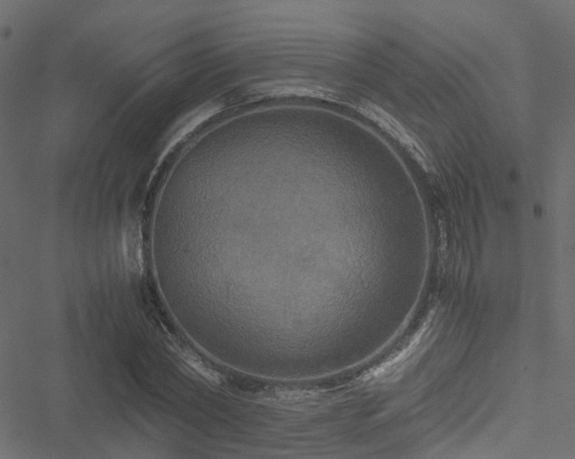 X0000051240782200506241520