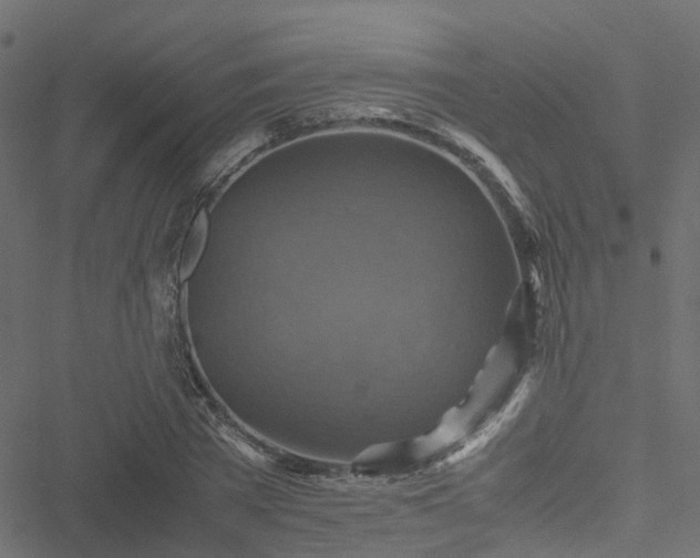 X0000051240785200506241520