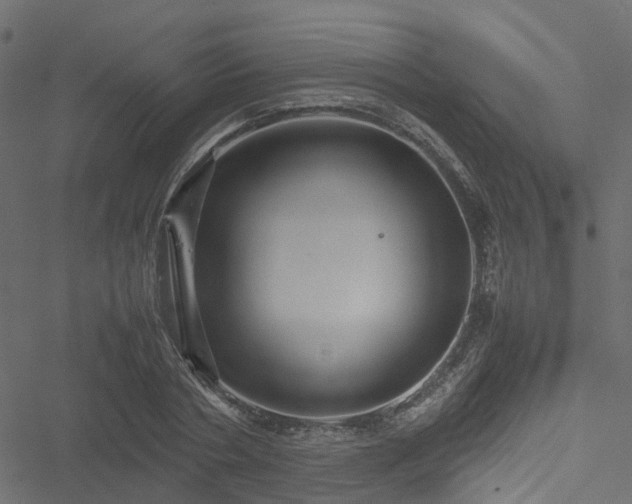 X0000051240786200506241520