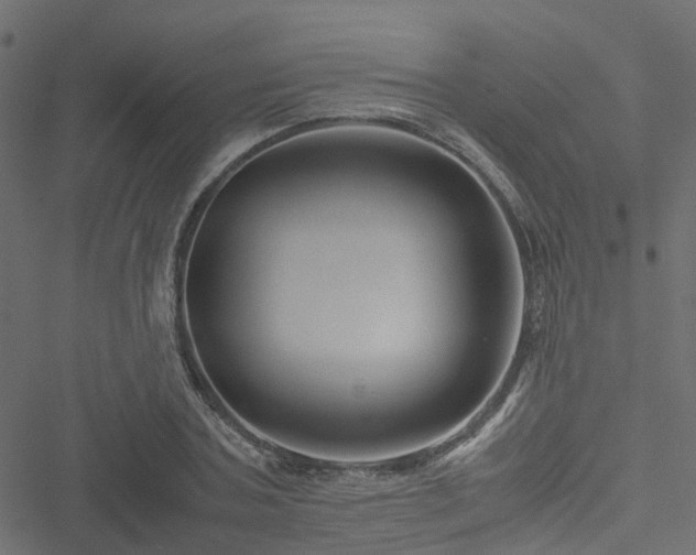 X0000051240787200506241520