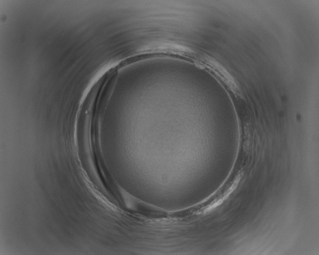 X0000051240788200506241520