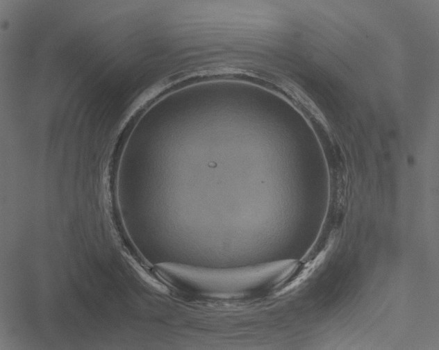 X0000051240789200506241520