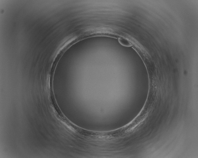 X0000051240790200506241520