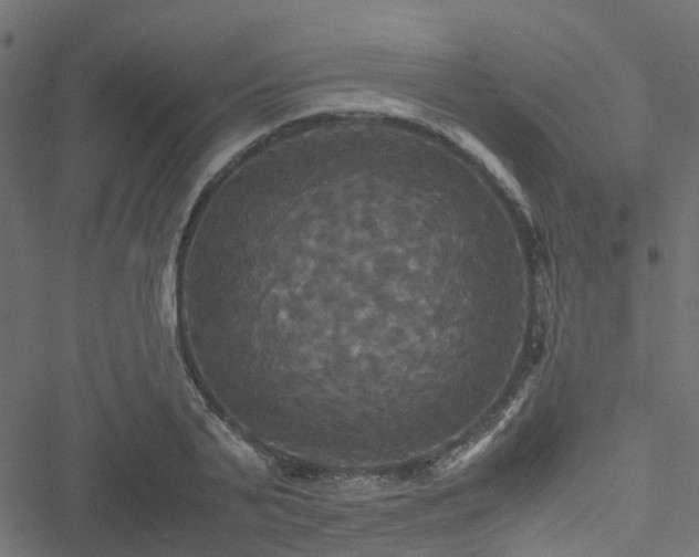 X0000051240791200506241520