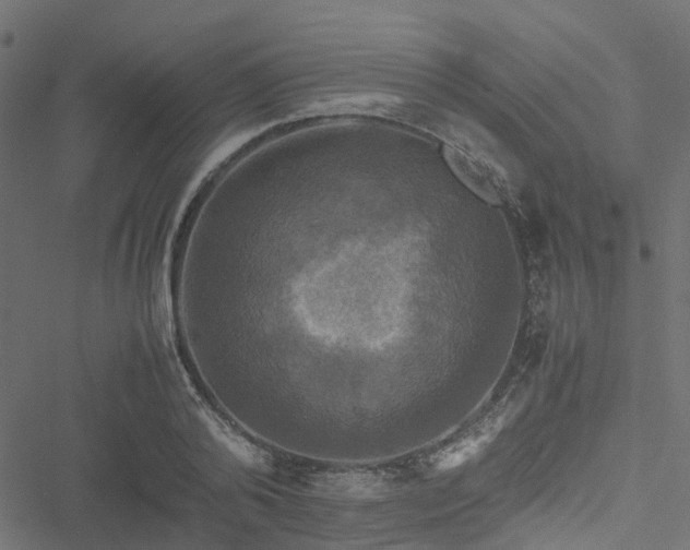 X0000051240792200506241520