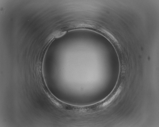 X0000051240793200506241520