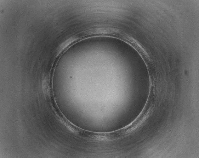 X0000051240794200506241520