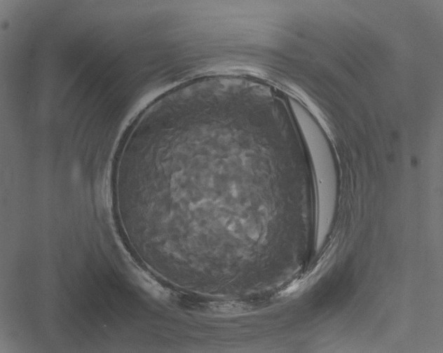 X0000051240795200506241520