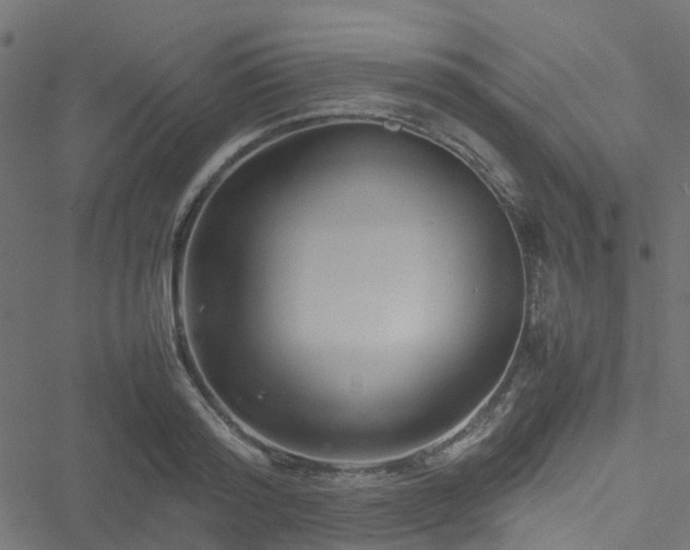 X0000051240796200506241520