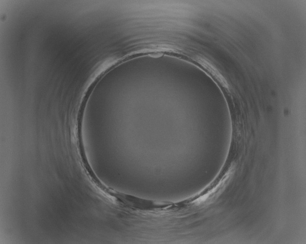 X0000051240797200506241520