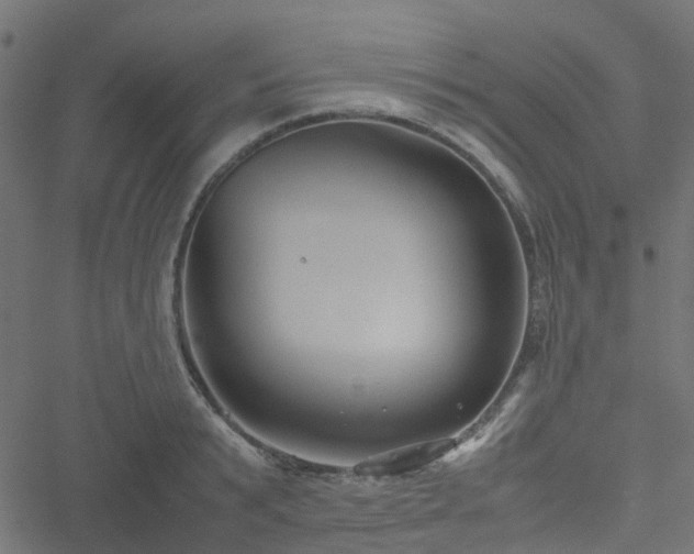 X0000051240799200506241520