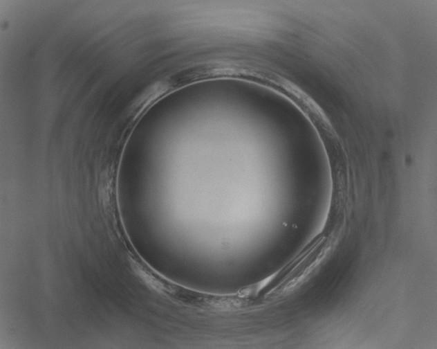 X0000051240801200506241520