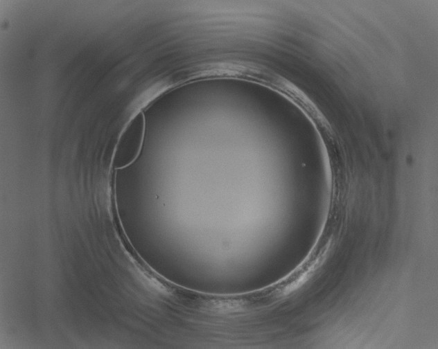 X0000051240802200506241520