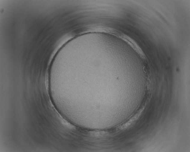 X0000051240804200506241520