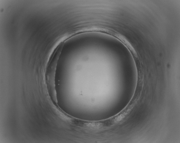 X0000051240805200506241520