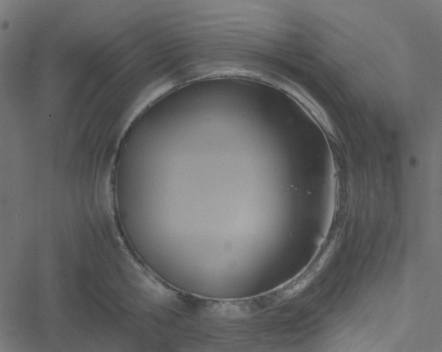 X0000051240806200506241520