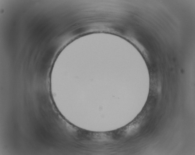 X0000051240807200506241520