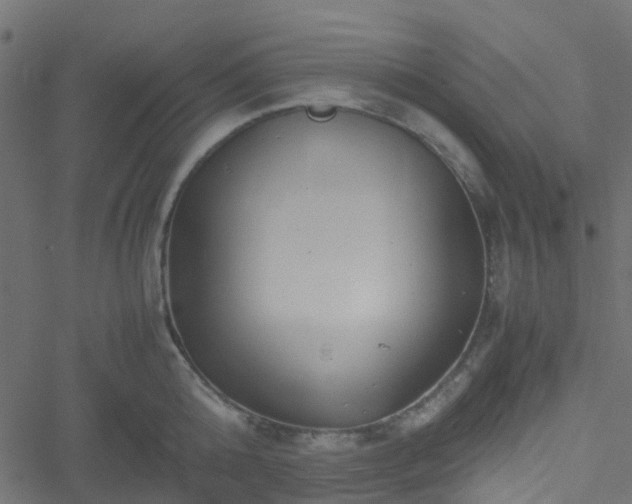 X0000051240808200506241520