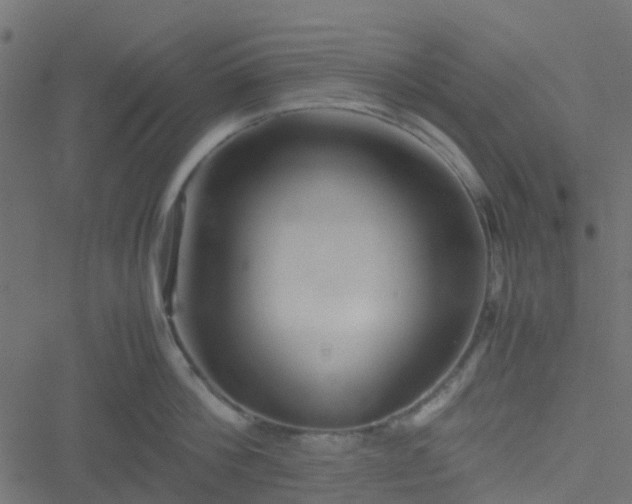 X0000051240812200506241520