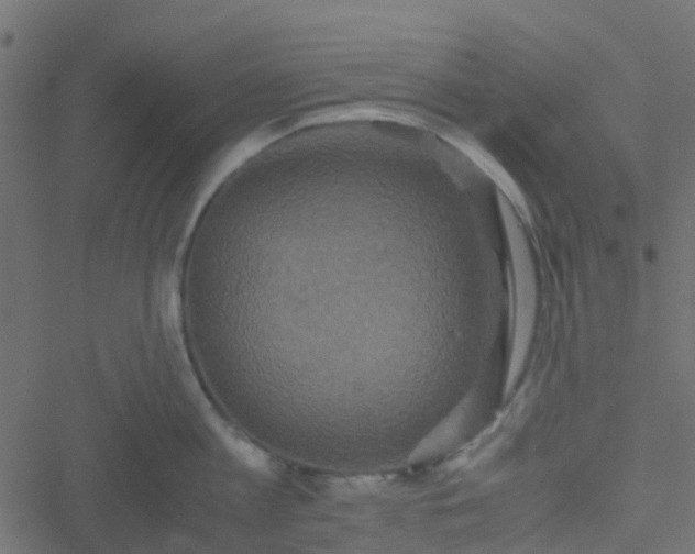 X0000051240813200506241520