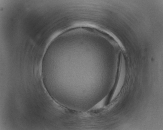 X0000051240815200506241520