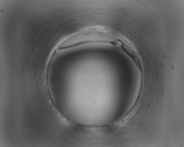 X0000051240816200506241520